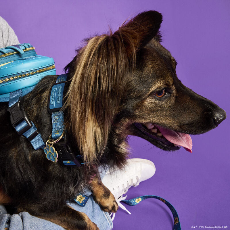 Load image into Gallery viewer, Loungefly Warner Brothers Harry Potter Hogwarts Pet Collar - LF Lovers
