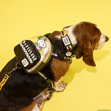 Loungefly Peanuts 75th Anniversary Pet Harness - LF Lovers