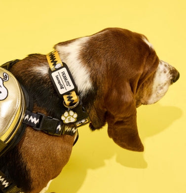 Loungefly Peanuts 75th Anniversary Pet Collar - LF Lovers