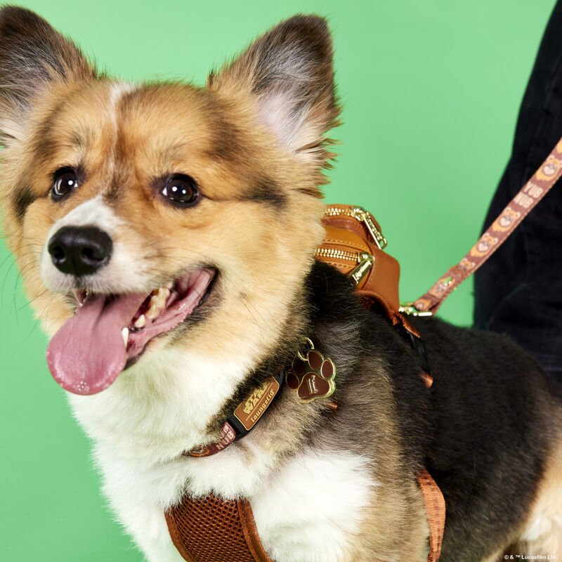Loungefly Pets Star Wars Ewok Hundehalsband Größe L, Braun – Offizielles Star Wars Zubehör Für Hunde