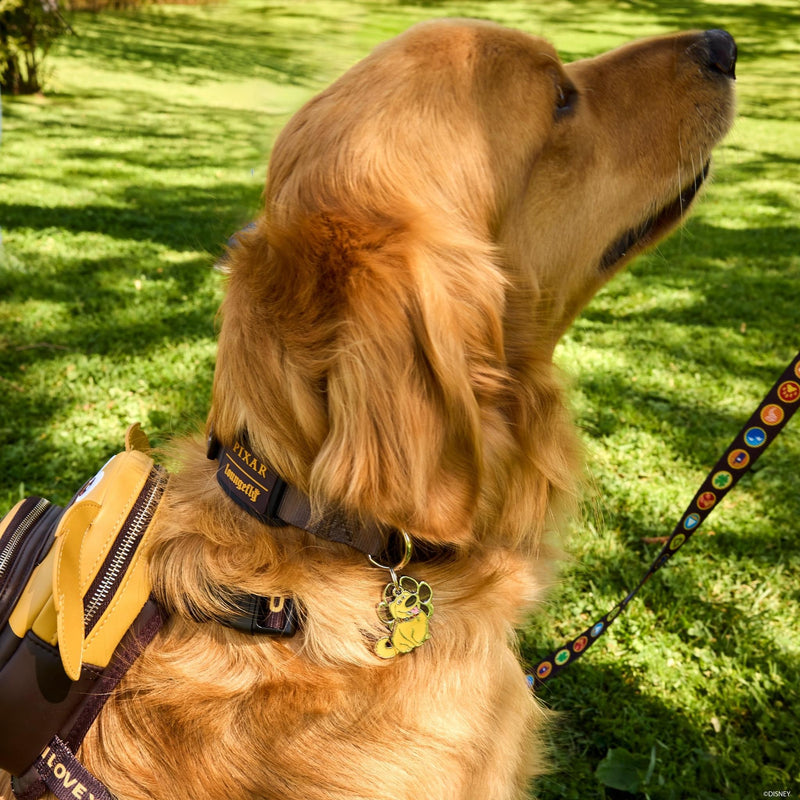 Load image into Gallery viewer, Loungefly Pixar Up 15th Anniversary Dug Collar - LF Lovers
