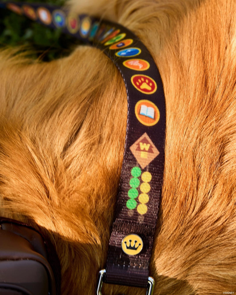 Load image into Gallery viewer, Loungefly Pixar Up 15th Anniversary Wilderness Badges Dog Leash - LF Lovers
