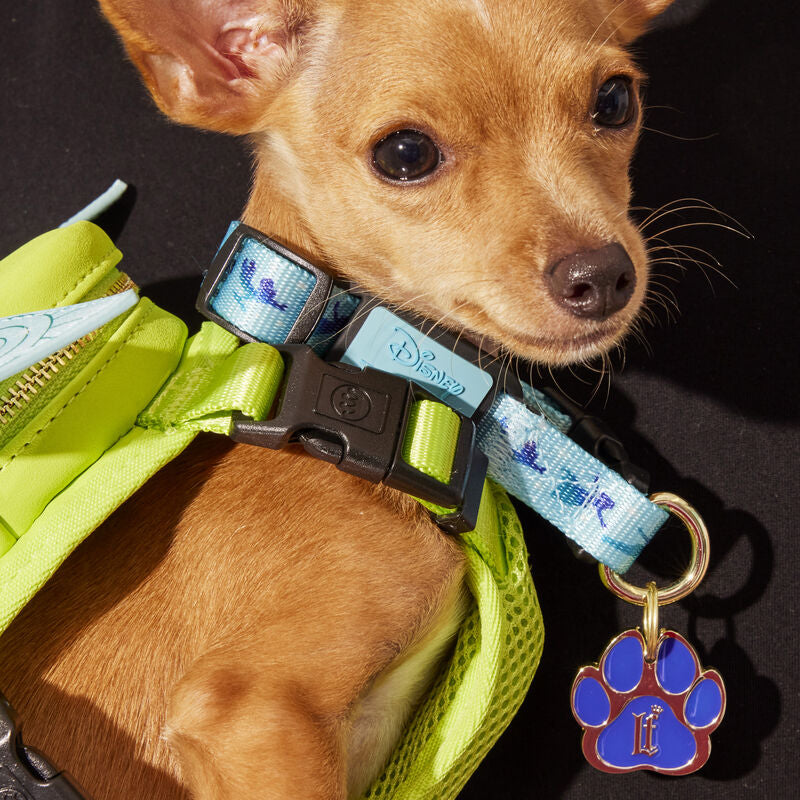 Load image into Gallery viewer, Loungefly Pets Disney Peter Pan You Can Fly Dog Collar - PRE ORDER - LF Lovers
