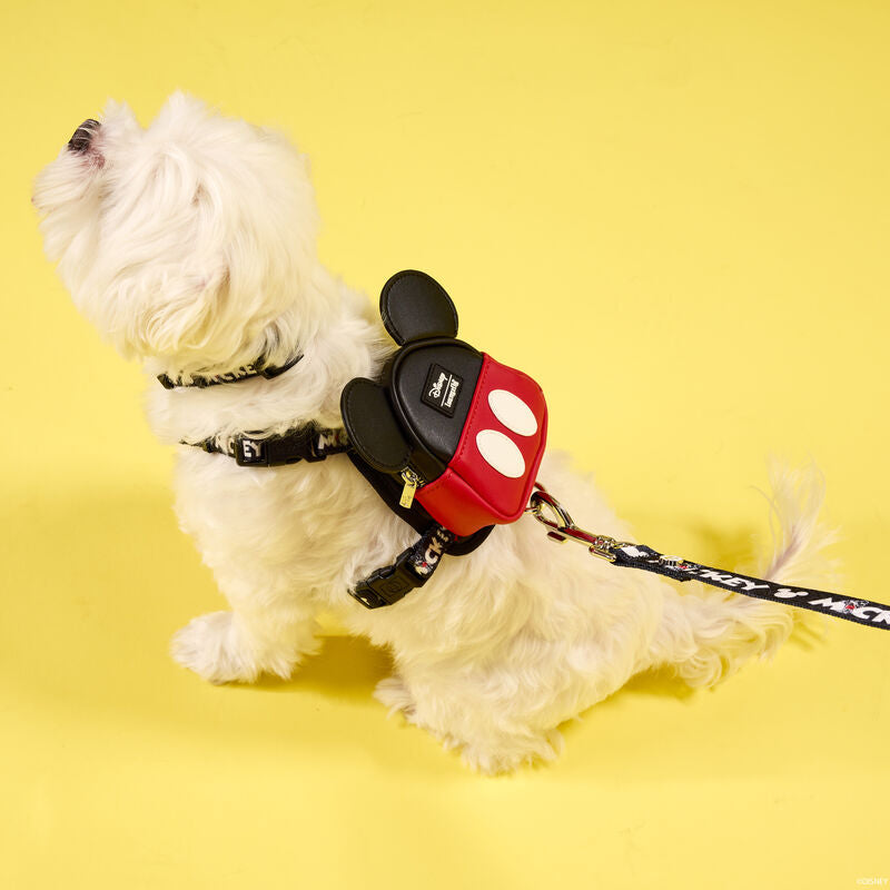Load image into Gallery viewer, Loungefly Disney Mickey Pet Leash - LF Lovers

